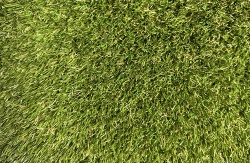 fresh_rye_184sg_color_300_natural_green_green_jute