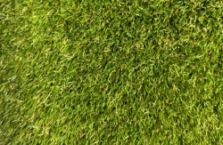 fresh_rye_184sg_color_300_natural_green_green_jute_resized_product_image_347147440