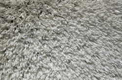 play_color_321sg_color_100_white