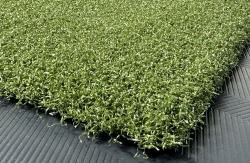 tips_ny_tee_line_335sg_color_301_turf_green_2