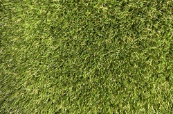 fresh_rye_184sg_color_300_natural_green_green_jute
