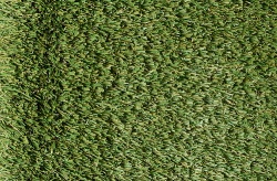 tw_sonebridge_1092050913