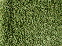 tw_sonebridge_1092050913