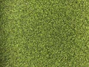 elevate_28_ny_376sg_color_301_four_seasons_lime_1790159724