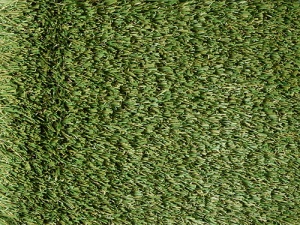 tw_sonebridge_1092050913