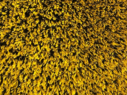 elevate_45_5mm_394sg_color_200_yellow_1_resized_product_image