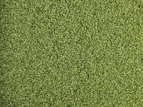 tips_elite_putt_229sg_color_300_field_green_olive_green_965511092